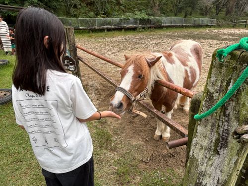 2泊3日の高原キャンプ 旭高原元気村 ファミリーキャンプ 区画サイト まつけんさんのキャンプブログ CAMPiii（キャンピー） -キャンプ専用SNS キャンプのすべてがここに集まる-