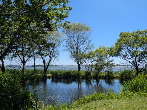 新天地　たくせん園地 たくせん園地(バーベキュー場&キャンプ場） ソロキャンプ フリーサイト geenさんのキャンプブログ CAMPiii（キャンピー） -キャンプ専用SNS キャンプのすべてがここに集まる-
