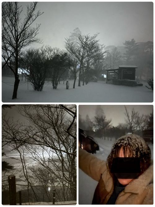 積雪｢ゼロcm」からの➡️➡️➡️➡️暴風のち災害級大雪キャンプ⛄️ 塩原グリーンビレッジ Oniyomeさんのキャンプブログ CAMPiii（キャンピー） -キャンプ専用SNS キャンプのすべてがここに集まる-