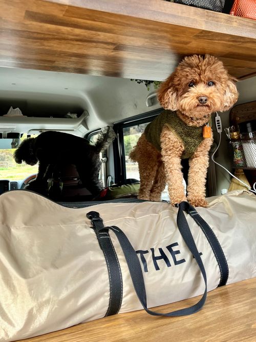 CAMPiii（キャンピー） akemi.09.02さんのキャンプブログ 2025.12.14〜15 山鳥の森オートキャンプ場