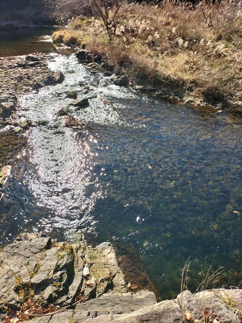 新年一発目の最＆高！！ 月川荘キャンプ場 林間サイト ソロキャンプ フリーサイト ぼっちオヤジさんのキャンプブログ CAMPiii（キャンピー） -キャンプ専用SNS キャンプのすべてがここに集まる-