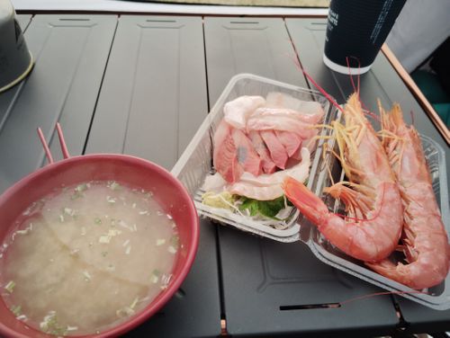 何もしないキャンプ オーシャンズ | オートキャンプ場・RVパーク・ドッグラン ソロキャンプ 区画サイト しずさんのキャンプブログ CAMPiii（キャンピー） -キャンプ専用SNS キャンプのすべてがここに集まる-