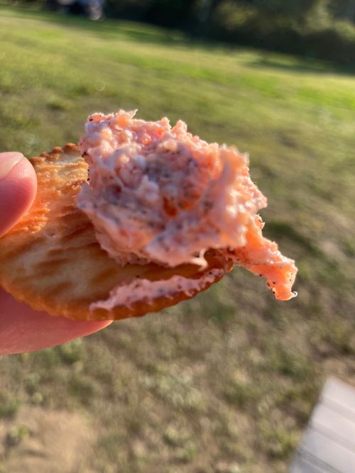 九十九里浜、やはり海はいいね！ 九十九里浜シーサイドオートキャンプ場 ソロキャンプ 区画サイト オートサイト アクセルさんのキャンプブログ CAMPiii（キャンピー） -キャンプ専用SNS キャンプのすべてがここに集まる-