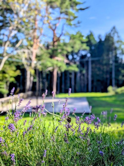天気に恵まれた高原キャンプ North Village Hirugano - Camping Fields グループキャンプ ソロキャンプ オートサイト 区画サイト ちあさんのキャンプブログ CAMPiii（キャンピー） -キャンプ専用SNS キャンプのすべてがここに集まる-