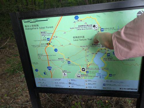 樹海散策と本栖湖SAP 本栖湖いこいの森キャンプ場 グループキャンプ 区画サイト hachi329さんのキャンプブログ CAMPiii（キャンピー） -キャンプ専用SNS キャンプのすべてがここに集まる-