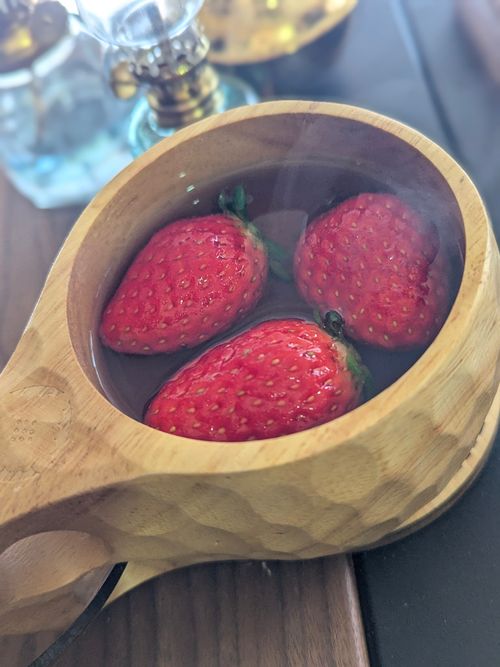 2026初キャンプ！SnowCamp withCAT！ the veg out ソロキャンプ グループキャンプ 区画サイト オートサイト ちあさんのキャンプブログ CAMPiii（キャンピー） -キャンプ専用SNS キャンプのすべてがここに集まる-