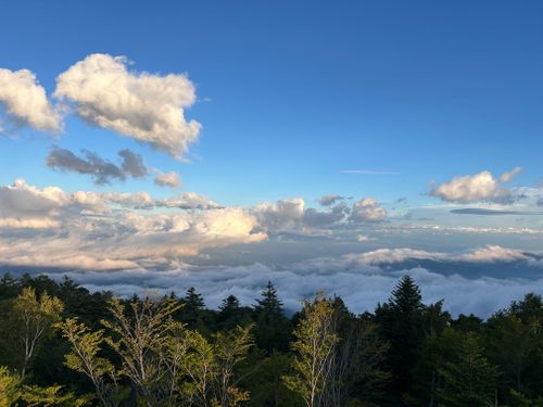 CAMPiii（キャンピー） たびおさんのキャンプブログ 雲海チャレンジ 鹿嶺高原キャンプ場