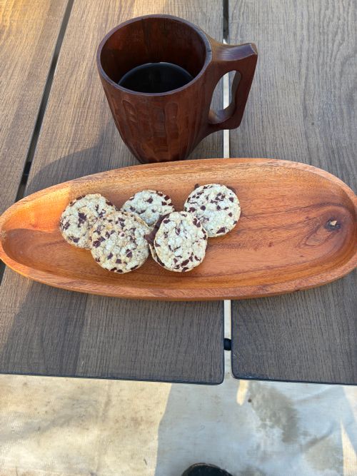 雨の中、ゆったり春キャンプ⛺️ ユニトピアささやまCAMP&VILLAGE 区画サイト kiyoさんのキャンプブログ CAMPiii（キャンピー） -キャンプ専用SNS キャンプのすべてがここに集まる-