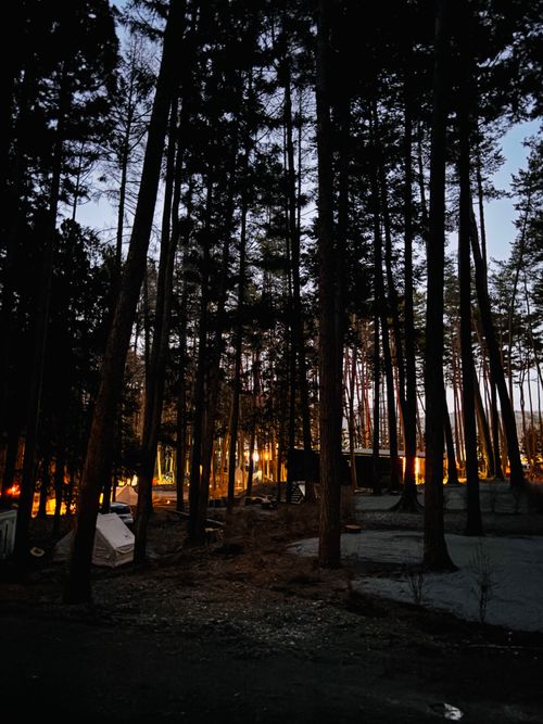 №73 オートキャンプFUJICHU ソロキャンプ 区画サイト 1711_Campさんのキャンプブログ CAMPiii（キャンピー） -キャンプ専用SNS キャンプのすべてがここに集まる-