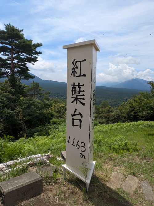 樹海散策と本栖湖SAP 本栖湖いこいの森キャンプ場 グループキャンプ 区画サイト hachi329さんのキャンプブログ CAMPiii（キャンピー） -キャンプ専用SNS キャンプのすべてがここに集まる-