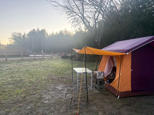 2025最後の旅する古本屋〜紫微輝く森の片隅で〜 紫星の森 ソロキャンプ フリーサイト ぱぱちょさんのキャンプブログ CAMPiii（キャンピー） -キャンプ専用SNS キャンプのすべてがここに集まる-