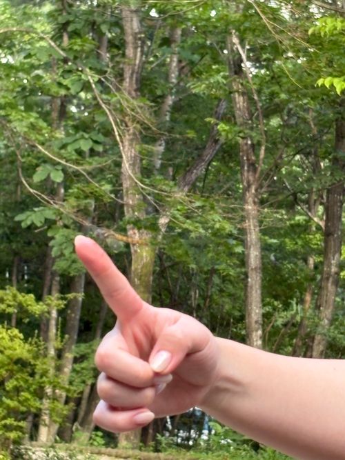 初の栃木県キャンプ 那須塩原市 区画サイト オートサイト しゅうさんのキャンプブログ CAMPiii（キャンピー） -キャンプ専用SNS キャンプのすべてがここに集まる-