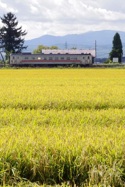 忘れ物だらけキャンプ🏕️ まあぶオートキャンプ場 ファミリーキャンプ オートサイト Train Photographer TAKAさんのキャンプブログ CAMPiii(キャンピー) -キャンプ専用SNS キャンプのすべてがここに集まる-