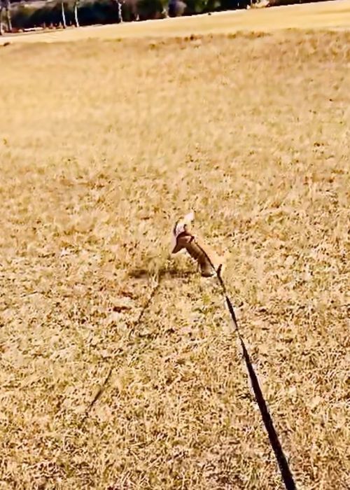 イライラした時は&hellip;やっぱり？リフレッシュおじうさキャン△ in 阿川ほうせんぐり海浜公園 〜 CAMP NO.177 阿川ほうせんぐり海浜公園 ソロキャンプ ファミリーキャンプ フリーサイト おじキャン△さんのキャンプブログ CAMPiii（キャンピー） -キャンプ専用SNS キャンプのすべてがここに集まる-