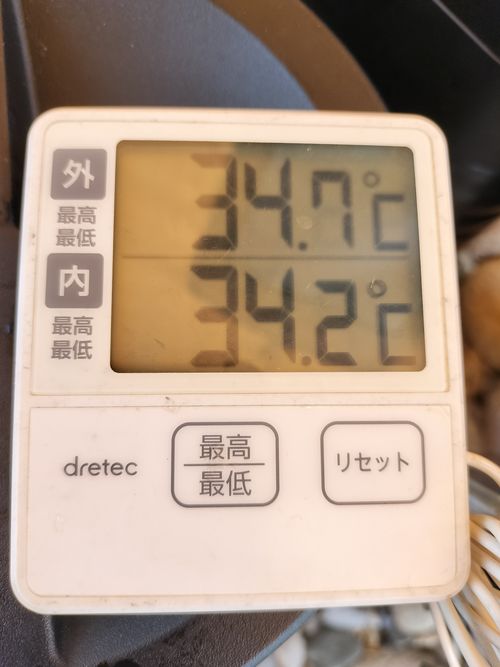 淡水浴 美濃橋 河川敷 ソロキャンプ グループキャンプ フリーサイト たかぽんたさんのキャンプブログ CAMPiii（キャンピー） -キャンプ専用SNS キャンプのすべてがここに集まる-