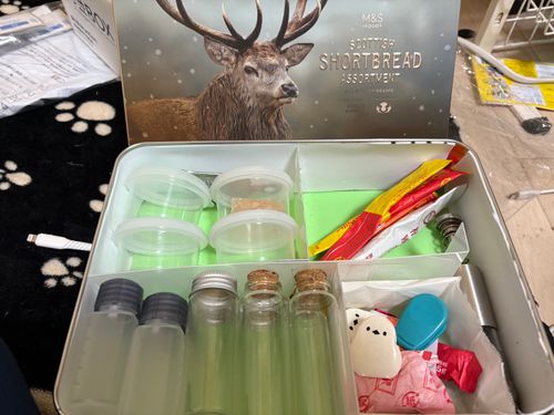 第84話 久しぶりの女子キャンをクロちゃんで〜 クロちゃん自由キャンプサイト ソロキャンプ グループキャンプ フリーサイト ちろ犬さんのキャンプブログ CAMPiii(キャンピー) -キャンプ専用SNS キャンプのすべてがここに集まる-