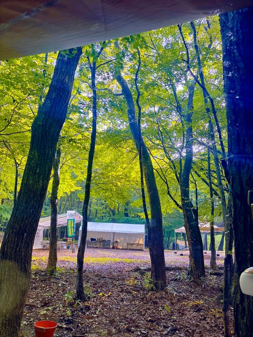 にしごうキャンプフェスタ2025【2日目】 キョロロン村 Oniyomeさんのキャンプブログ CAMPiii（キャンピー） -キャンプ専用SNS キャンプのすべてがここに集まる-