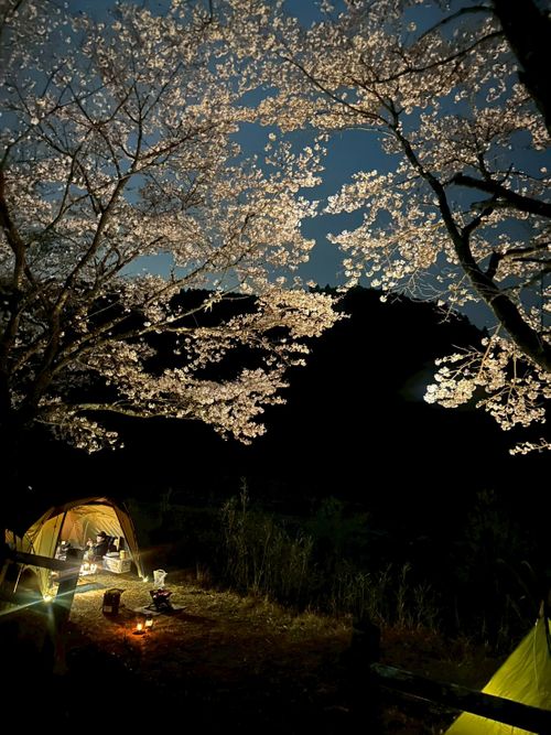 CAMPiii（キャンピー） ちあさんのキャンプブログ お花見キャンプでリフレッシュタイム♪ 小川の里オートキャンプ場
