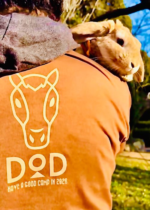 2025-2026 最初で最期の城跡エリア年越グルキャン△ in 下関市串崎城跡 〜 CAMP NO.169 関見台公園 ソロキャンプ ファミリーキャンプ グループキャンプ 区画サイト おじキャン△さんのキャンプブログ CAMPiii（キャンピー） -キャンプ専用SNS キャンプのすべてがここに集まる-