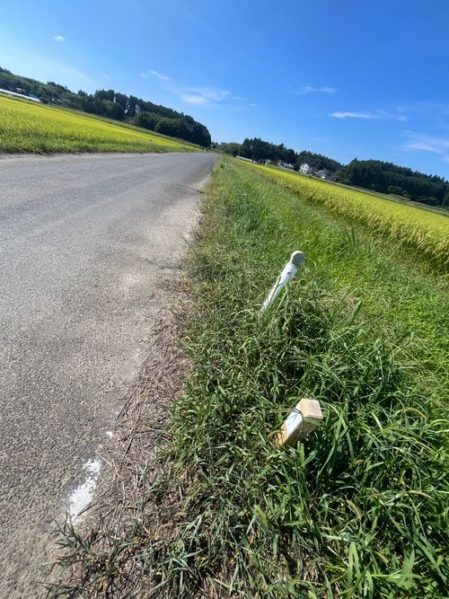 みちのく潮風トレイル 福島 相馬編 貸し切りができる小さなキャンプ場 beeto ソロキャンプ 区画サイト まっつんさんのキャンプブログ CAMPiii(キャンピー) -キャンプ専用SNS キャンプのすべてがここに集まる-