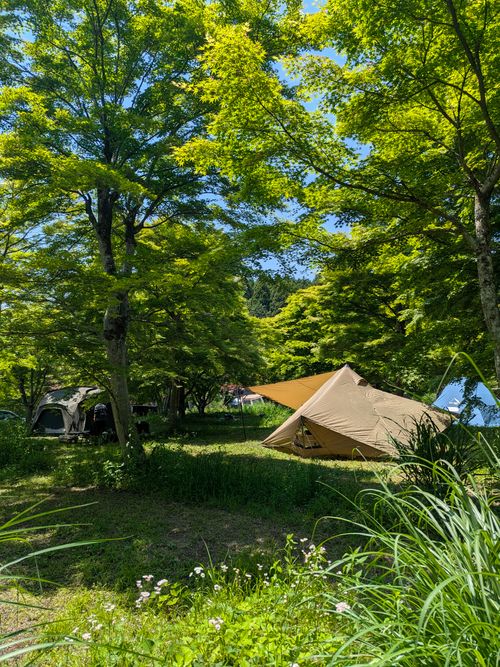 特に何もないんだけど、まったりデュオで猫の写真を撮ってきたよ ANOTHAPLACE ソロキャンプ グループキャンプ オートサイト 区画サイト ちあさんのキャンプブログ CAMPiii（キャンピー） -キャンプ専用SNS キャンプのすべてがここに集まる-