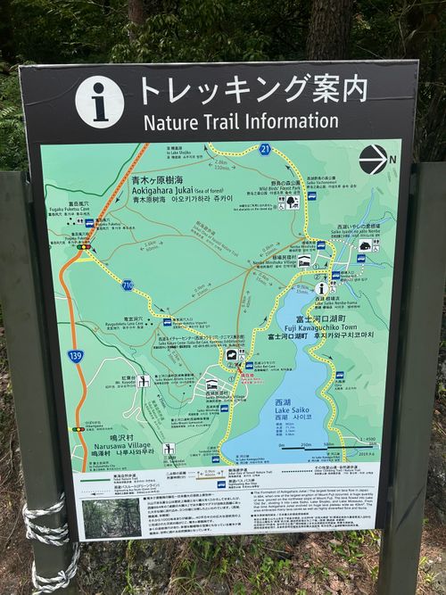 早朝SUP & 樹海ハイク🥾  本栖湖いこいの森キャンプ場 ソロキャンプ グループキャンプ 区画サイト Genさんのキャンプブログ CAMPiii（キャンピー） -キャンプ専用SNS キャンプのすべてがここに集まる-