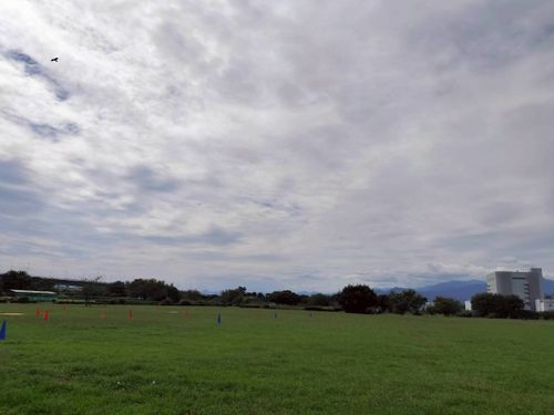 ウエィダーJrの試し張りデーキャンプ 川とのふれあい公園 ファミリーキャンプ フリーサイト ウエィダーさんのキャンプブログ CAMPiii(キャンピー) -キャンプ専用SNS キャンプのすべてがここに集まる-