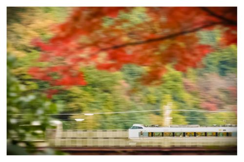 全国旅キャンプ第11弾は京都編 保津河川敷キャンプ場 ソロキャンプ ファミリーキャンプ グループキャンプ 区画サイト ENJOY THE OUTDOORSさんのキャンプブログ CAMPiii（キャンピー） -キャンプ専用SNS キャンプのすべてがここに集まる-