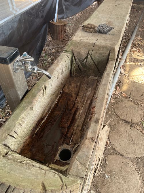 薪放題に満足🪵 くにあきの森：あなたまかせのキャンプ場 グループキャンプ ソロキャンプ フリーサイト もるがんさんのキャンプブログ CAMPiii（キャンピー） -キャンプ専用SNS キャンプのすべてがここに集まる-