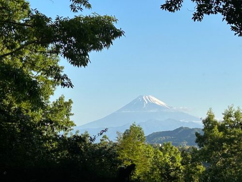 3週連続ソロキャンプ🏕️ CAMP BEAN ソロキャンプ 区画サイト Genさんのキャンプブログ CAMPiii（キャンピー） -キャンプ専用SNS キャンプのすべてがここに集まる-