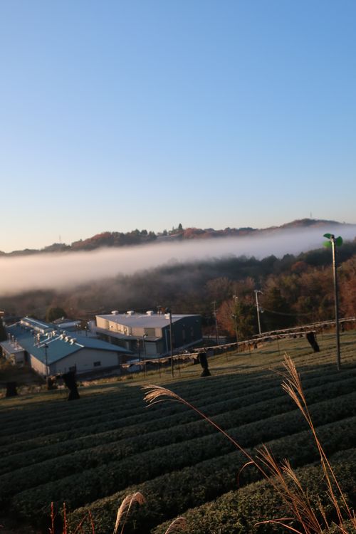 初めてのキャンプ場です😊 南山城村の隠れ家 ソロキャンプ 区画サイト シゲさんのキャンプブログ CAMPiii（キャンピー） -キャンプ専用SNS キャンプのすべてがここに集まる-