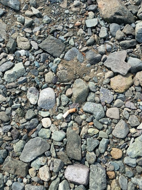 お出かけ前日のデイキャンプ 水無川通り ソロキャンプ フリーサイト ウエィダーさんのキャンプブログ CAMPiii（キャンピー） -キャンプ専用SNS キャンプのすべてがここに集まる-
