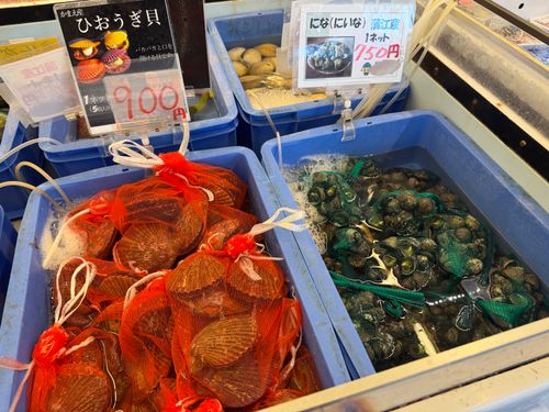 九州伊勢えびキャンプ🦞@たらおさん船上誕生日🚢 ぐうたら夫婦さんのキャンプブログ CAMPiii（キャンピー） -キャンプ専用SNS キャンプのすべてがここに集まる-