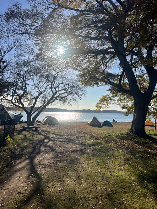 100投稿目はソロにて候😆🎉 親沢公園キャンプ場 ソロキャンプ フリーサイト まっつんさんのキャンプブログ CAMPiii（キャンピー） -キャンプ専用SNS キャンプのすべてがここに集まる-