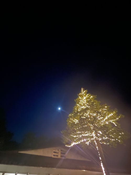 場違い感のあるキャンプ フォレストサンズ長瀞 ファミリーキャンプ フリーサイト もるがんさんのキャンプブログ CAMPiii（キャンピー） -キャンプ専用SNS キャンプのすべてがここに集まる-