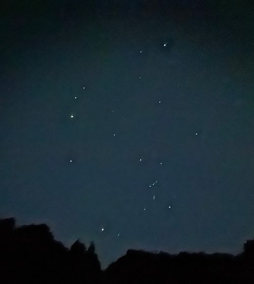 秋空の下、丸いものを食す WOODSMAN CAMPGROUND ファミリーキャンプ 区画サイト オートサイト EJIさんのキャンプブログ CAMPiii（キャンピー） -キャンプ専用SNS キャンプのすべてがここに集まる-