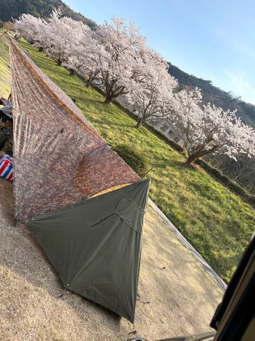 春爛漫🌸Camp♪♪ 宮川内公園 ファミリーキャンプ フリーサイト camping roll♪さんのキャンプブログ CAMPiii（キャンピー） -キャンプ専用SNS キャンプのすべてがここに集まる-