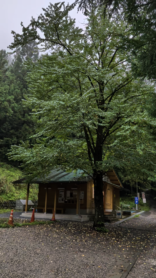 イグニス ともえ川Park ソロキャンプ オートサイト 区画サイト IZUIZUさんのキャンプブログ CAMPiii（キャンピー） -キャンプ専用SNS キャンプのすべてがここに集まる-