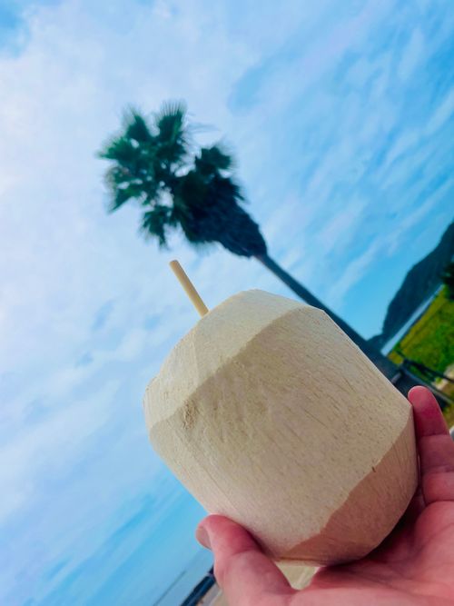 夏の海で秋穂の特産品を堪能する旨いものおじキャン△ in 美濃ヶ浜海浜公園 〜 CAMP NO.205 美濃ケ浜海浜広場 ソロキャンプ フリーサイト おじキャン△さんのキャンプブログ CAMPiii（キャンピー） -キャンプ専用SNS キャンプのすべてがここに集まる-