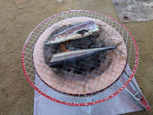 110回目のキャンプは秋の味覚だった いこいの森弘法山 ソロキャンプ フリーサイト オートサイト サイババ-SBBcampさんのキャンプブログ CAMPiii（キャンピー） -キャンプ専用SNS キャンプのすべてがここに集まる-