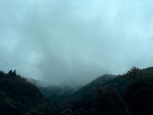 CAMPiii（キャンピー） Camp 'n'g  Roll♪🏁さんのキャンプブログ 春雨&times;焚き火 前川キャンプ場