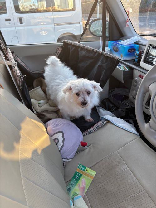 CAMPiii(キャンピー) ちろ犬さんのキャンプブログ 第94話 キャンピー放置してたけどいい加減書くか.... 埼玉県