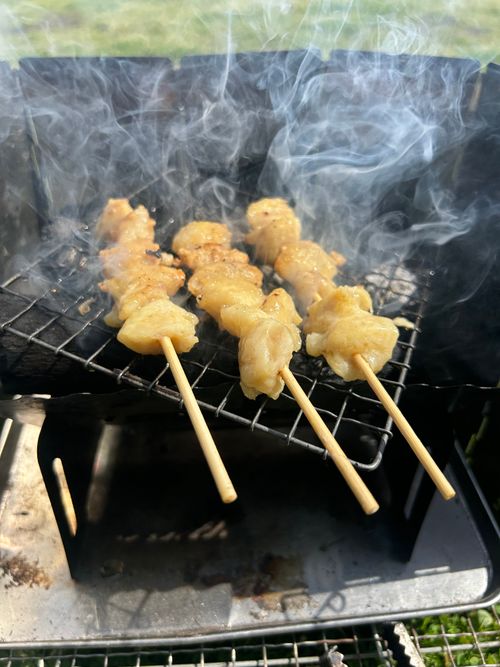 連休取れずに朝からデイキャン うみかぜ公園 ソロキャンプ フリーサイト Genさんのキャンプブログ CAMPiii（キャンピー） -キャンプ専用SNS キャンプのすべてがここに集まる-