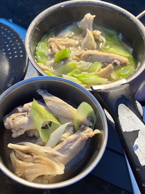 鹿いた！サウナの日、WBC満喫！ PICA富士西湖 ソロキャンプ オートサイト アクセルさんのキャンプブログ CAMPiii（キャンピー） -キャンプ専用SNS キャンプのすべてがここに集まる-