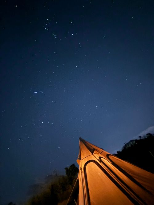 星ふるキャンプ場 星ふるキャンプ場 ソロキャンプ オートサイト 区画サイト ぺちゃさんのキャンプブログ CAMPiii（キャンピー） -キャンプ専用SNS キャンプのすべてがここに集まる-