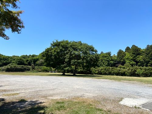 CAMPiii（キャンピー） ASAPさんのキャンプブログ ただチキチキボーンを食べてみたかったキャンプ 北浦