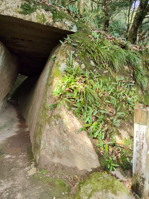 ちょっとハイク 笠置キャンプ場 ソロキャンプ フリーサイト おっとまんSさんのキャンプブログ CAMPiii（キャンピー） -キャンプ専用SNS キャンプのすべてがここに集まる-