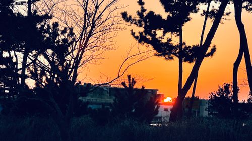 聖地 渚園 キャンプ場 ソロキャンプ 区画サイト KABUTOさんのキャンプブログ CAMPiii（キャンピー） -キャンプ専用SNS キャンプのすべてがここに集まる-