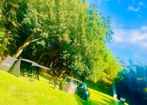 神在月に神の遣い《きなこ》と一緒に…出雲参拝おじおばうさキャン△ in 夢の森うさぎキャンプ場 〜 CAMP NO. うさぎ森林公園 夢の森うさぎ ファミリーキャンプ グループキャンプ 区画サイト おじキャン△さんのキャンプブログ CAMPiii(キャンピー) -キャンプ専用SNS キャンプのすべてがここに集まる-