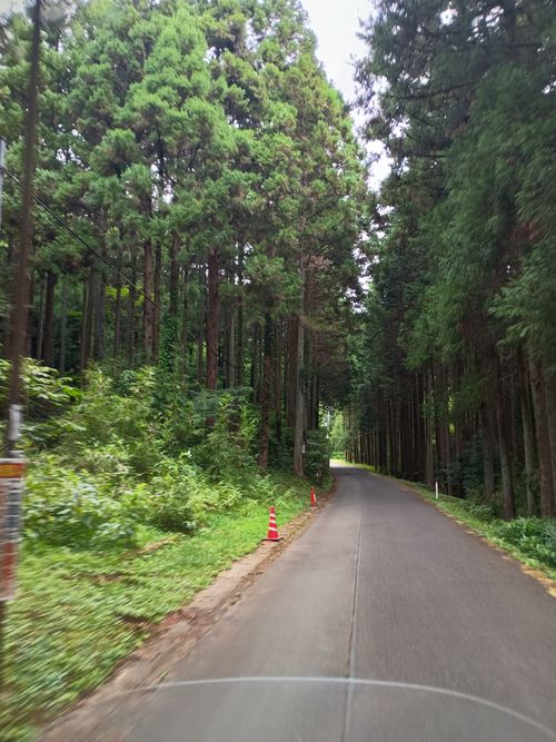 お出かけ前日のデイキャンプ 水無川通り ソロキャンプ フリーサイト ウエィダーさんのキャンプブログ CAMPiii（キャンピー） -キャンプ専用SNS キャンプのすべてがここに集まる-